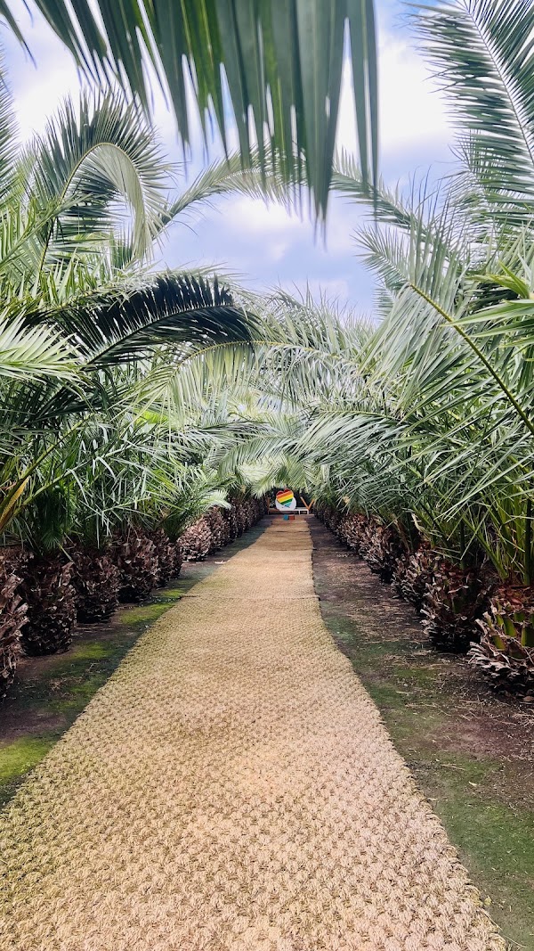 Udo Garden 4