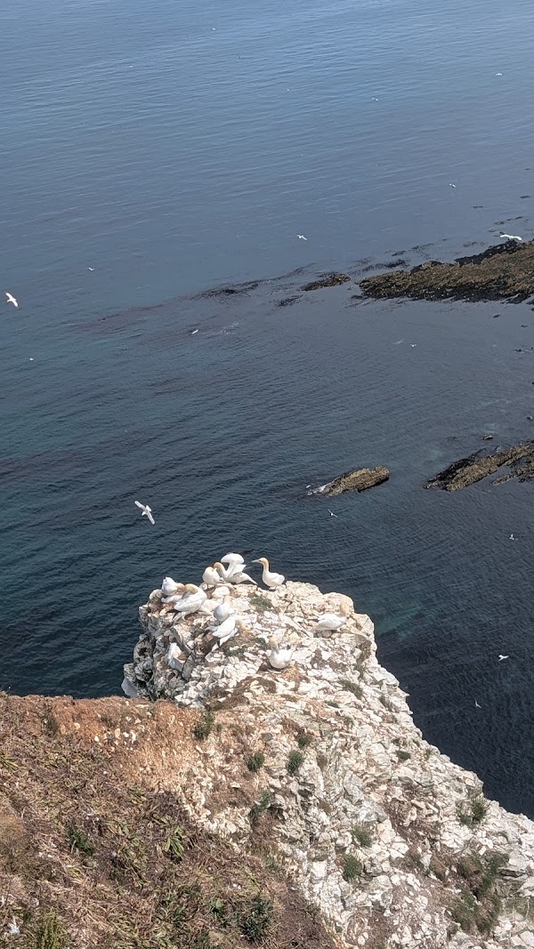 King Charles III England Coast Path 3