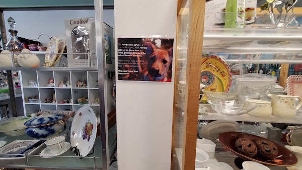 Dartmouth SPCA Thrift Store 5