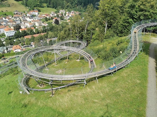 Hasenhorn Rodelbahn Todtnau 5