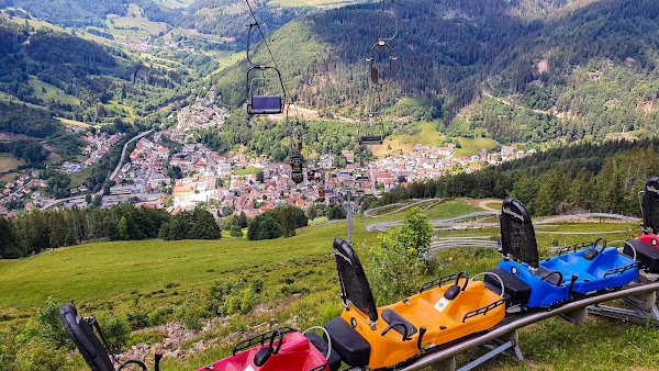 Hasenhorn Rodelbahn Todtnau 3