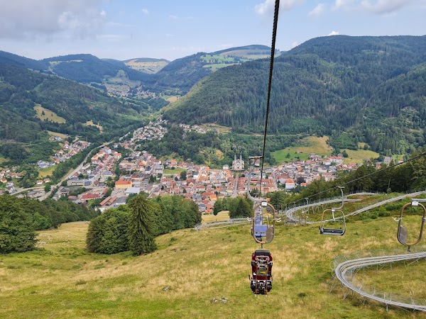 Hasenhorn Rodelbahn Todtnau 2