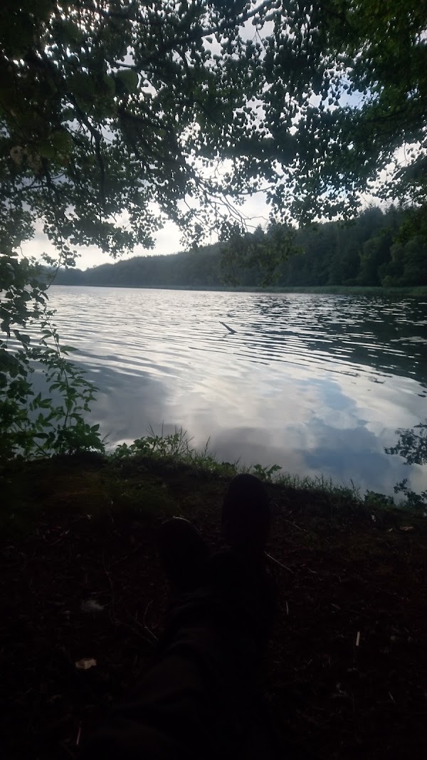 Østre Allé