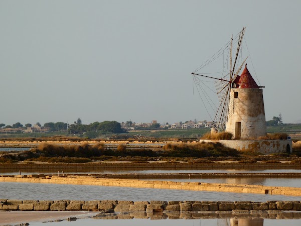 Saline of the Laguna Marsala 5