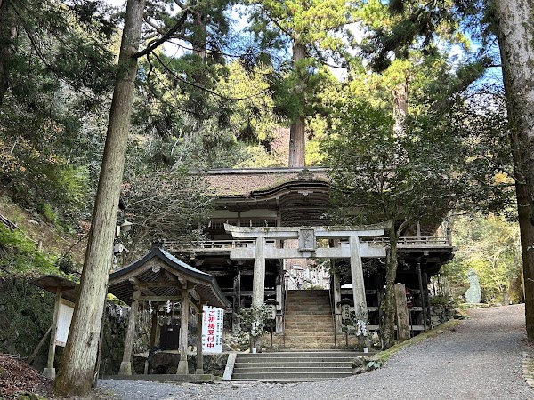 Japon 31
