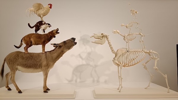Kunsthalle Bremen 4