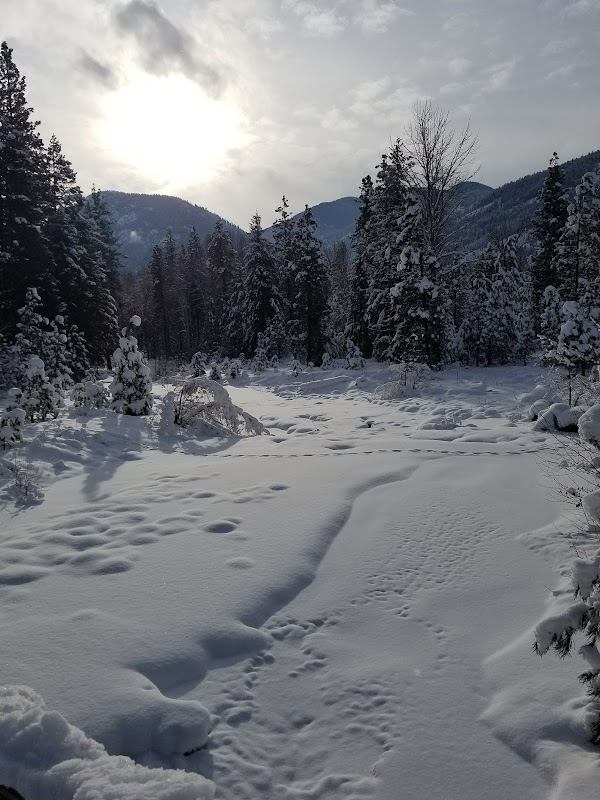 Mazama 5