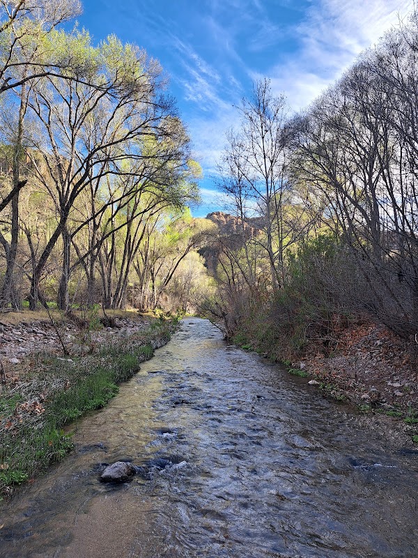 Aravaipa Canyon Wilderness 5