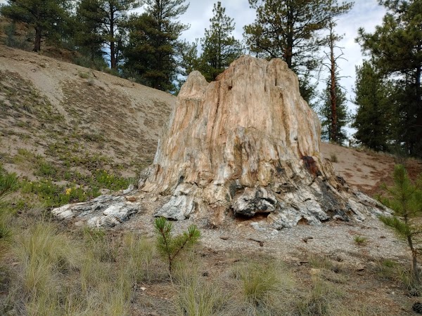 Florissant Fossil Beds National Monument