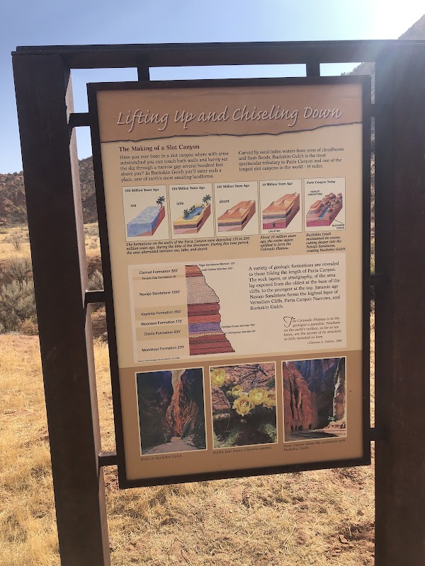Buckskin Gulch 4