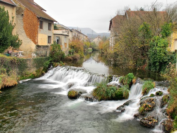 Arbois 5