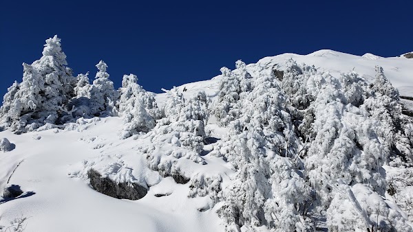 White Cross Trail