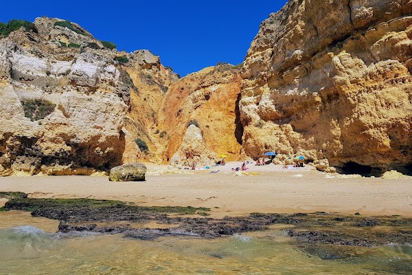 Praia dos Pinheiros