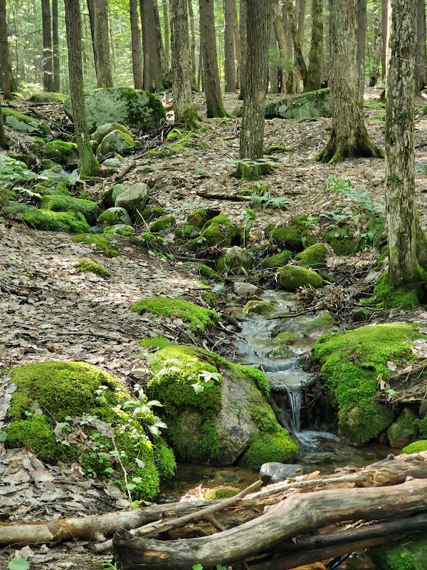 Madison Boulder Natural Area 4