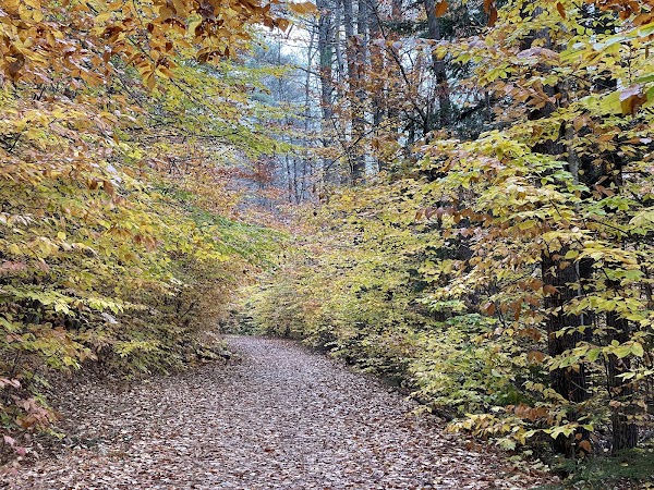 Madison Boulder Natural Area 3