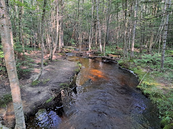 Madison Boulder Natural Area 2