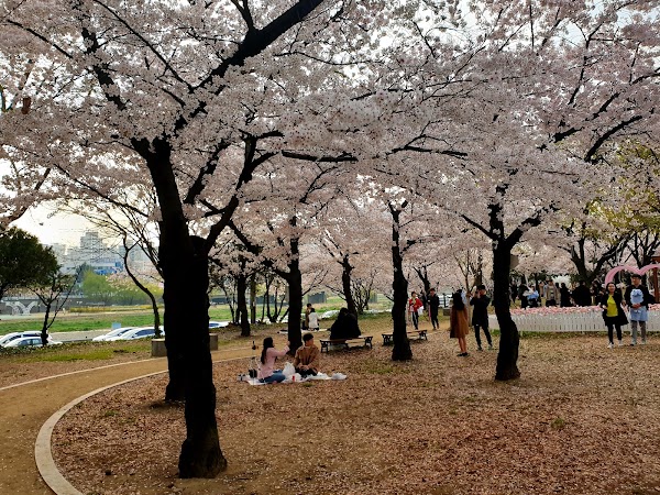 Kkotbora Park 1