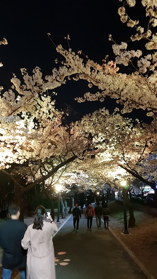 Kkotbora Park 4