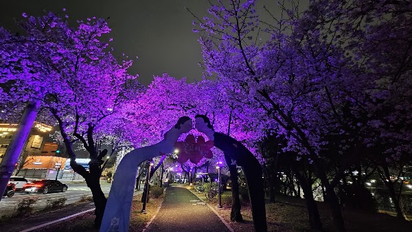 Kkotbora Park 2