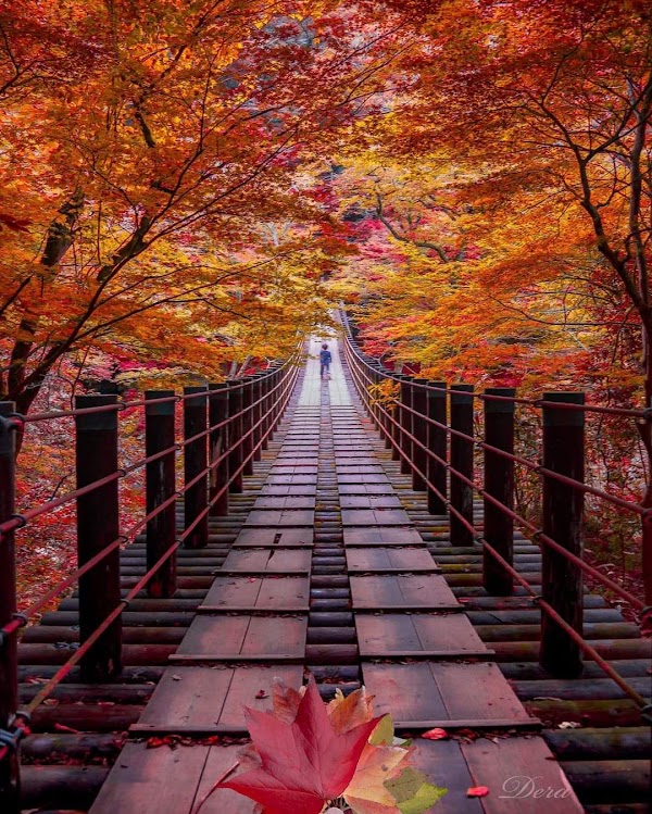 Hananuki Gorge 1