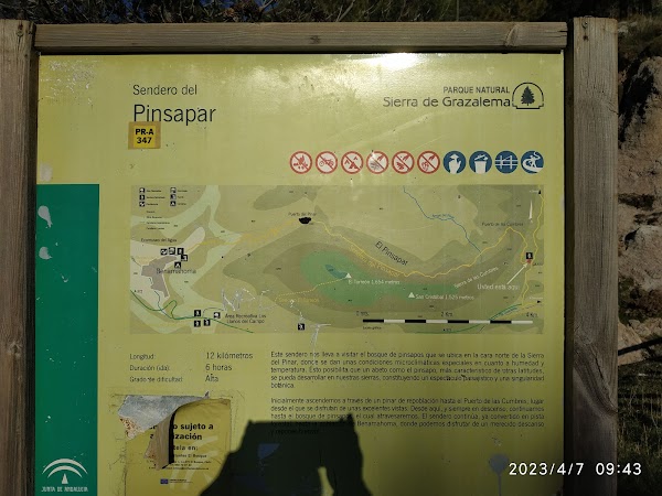 Sendero del Pinsapar
