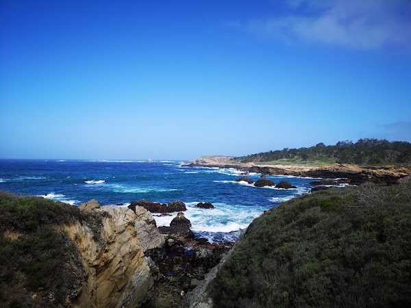 Sea Lion Point Trail 1