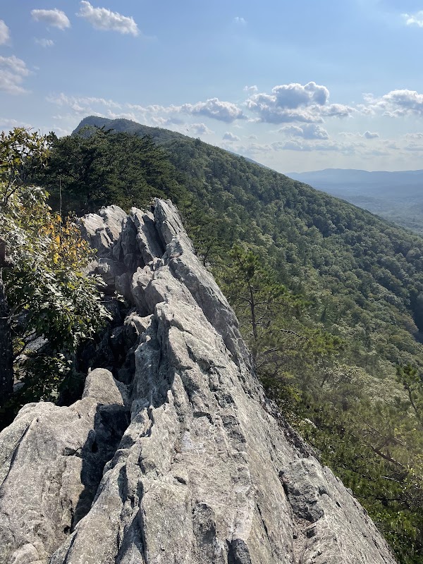 Buzzard Rock
