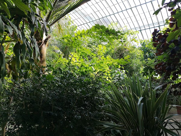 Jardin des Serres d’auteuil 3