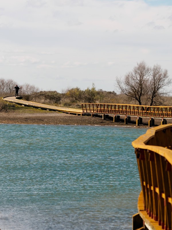 Carretera a las Tablas de Daimiel 1