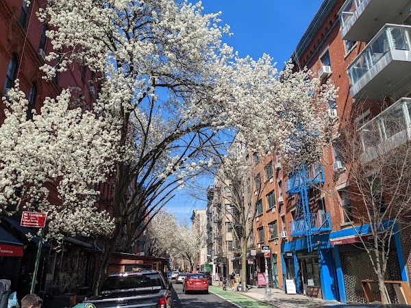 Clinton Street