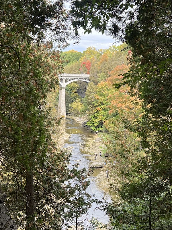 Elora Gorge Conservation Area 5