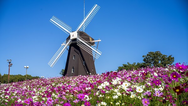 Tsurumi Ryokuchi Park Windmill