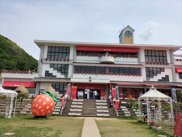 Nojima Scuola