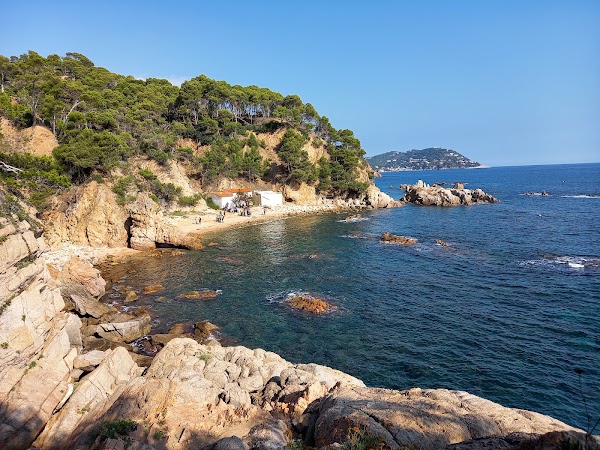 Cala del Crit