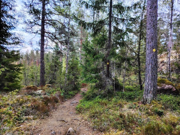 Konnankieppi lähtöpiste 1