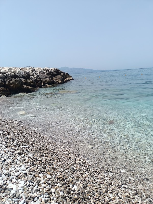 Mango Beach 4
