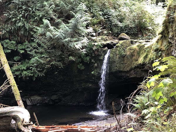 Stocking Creek Trail 5