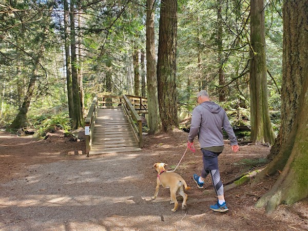 Stocking Creek Trail 4