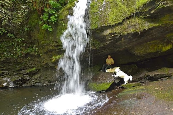 Stocking Creek Trail 2