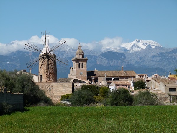 Algaida