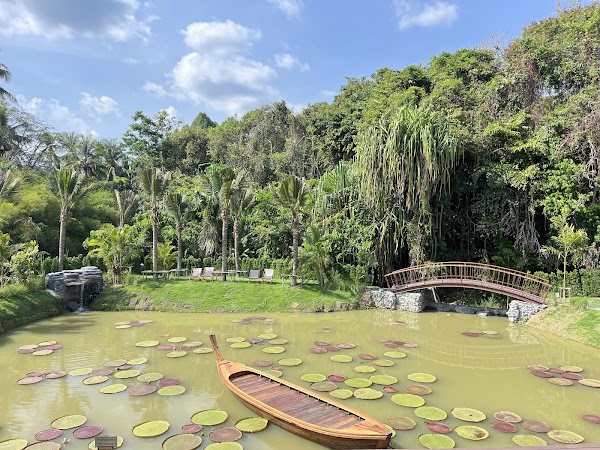 MANTRA FOREST SPA 1