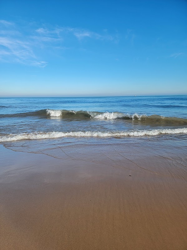 Oak Street Beach 5