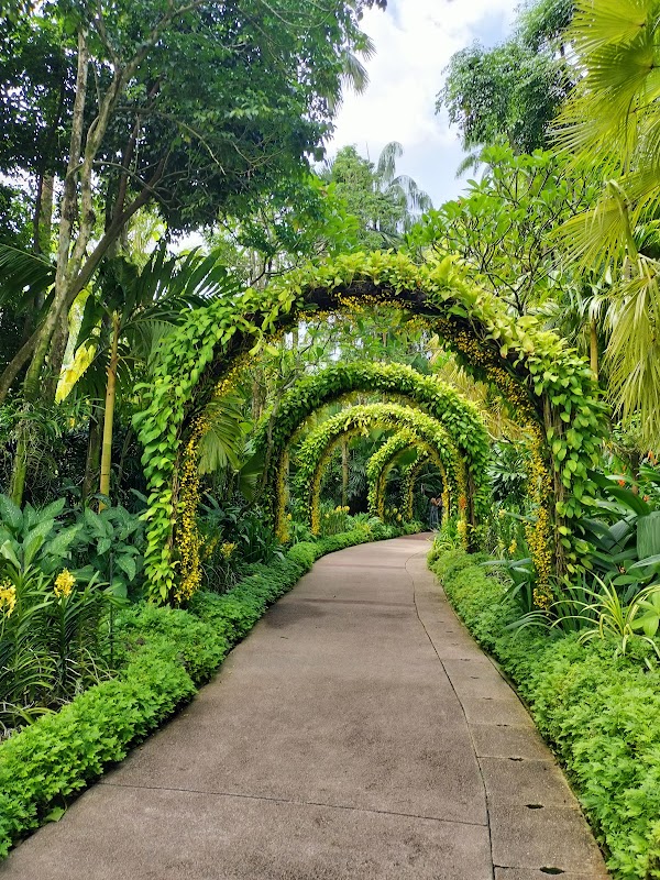 National Orchid Garden 1