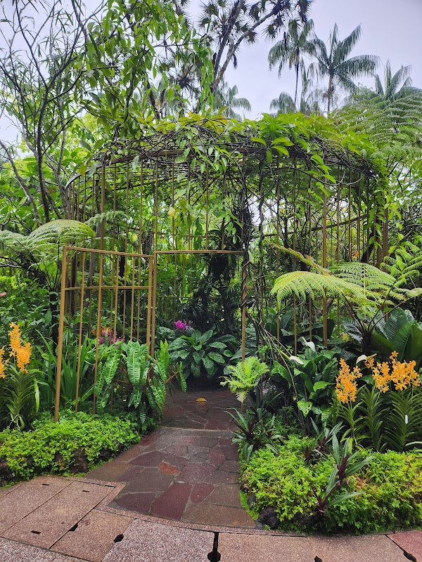 National Orchid Garden 2