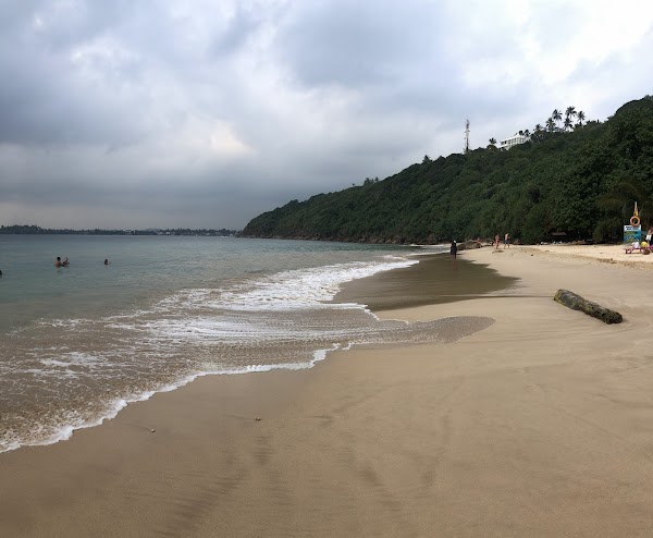 Jungle Beach 5