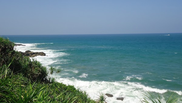 Jungle Beach 2