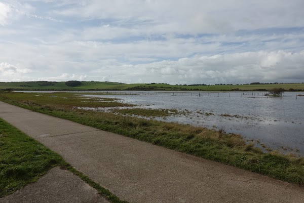 Cuckmere River 4