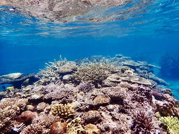 Amuro Island 5
