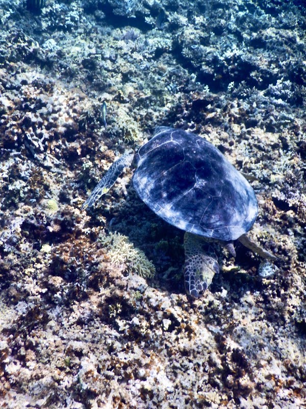 Amuro Island 3