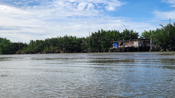 Chao Phraya River 4